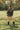 TALISSA veste blazer kaki