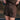 ORIA short chocolat